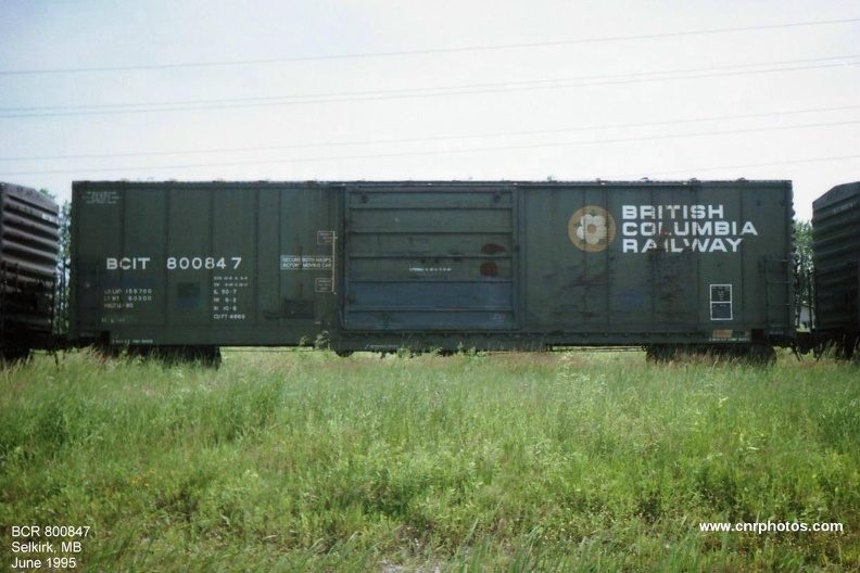 800847.jpg