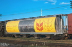 106704