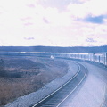 #3-Capreol