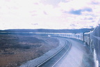 #3-Capreol