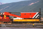 50008