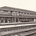Capreol