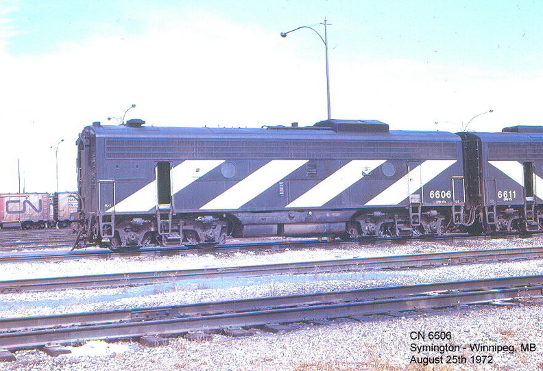 6606.jpg