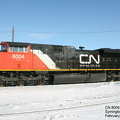 8004